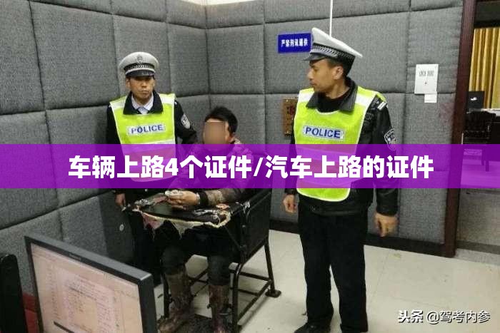 车辆上路4个证件/汽车上路的证件