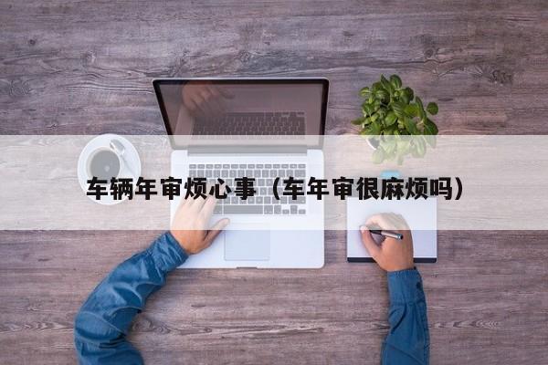 车辆年审烦心事（车年审很麻烦吗）