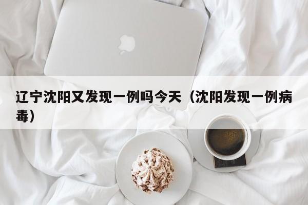 辽宁沈阳又发现一例吗今天（沈阳发现一例病毒）