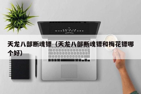 天龙八部断魂镖（天龙八部断魂镖和梅花镖哪个好）