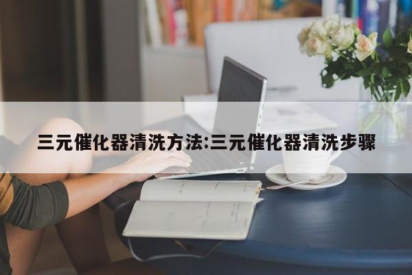 三元催化器清洗方法:三元催化器清洗步骤