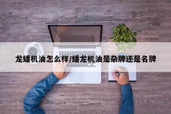 龙蟠机油怎么样/蟠龙机油是杂牌还是名牌