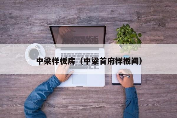 中梁样板房(中梁首府样板间)