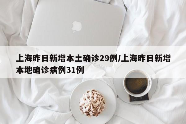 上海昨日新增本土确诊29例/上海昨日新增本地确诊病例31例