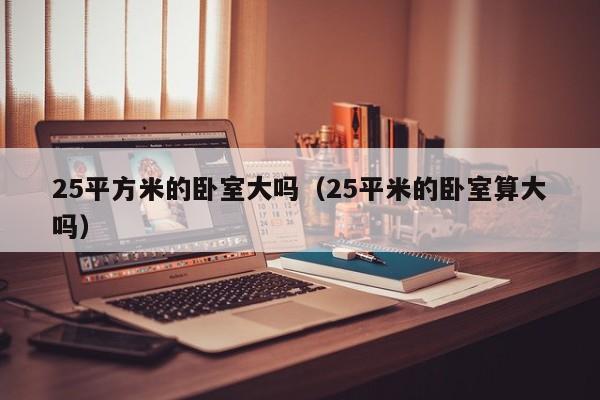 25平方米的卧室大吗(25平米的卧室算大吗)