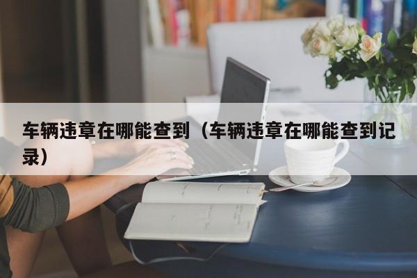 车辆违章在哪能查到(车辆违章在哪能查到记录)