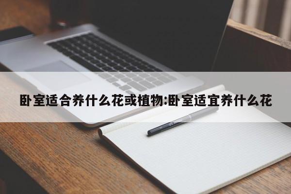 卧室适合养什么花或植物:卧室适宜养什么花