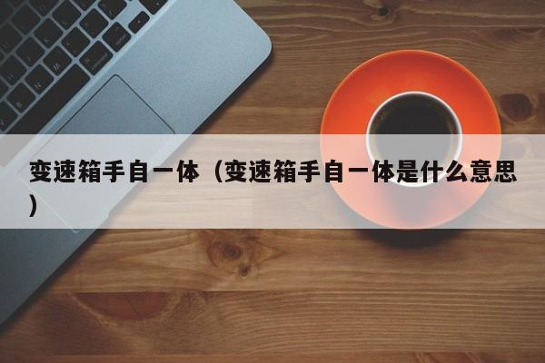 变速箱手自一体(变速箱手自一体是什么意思)