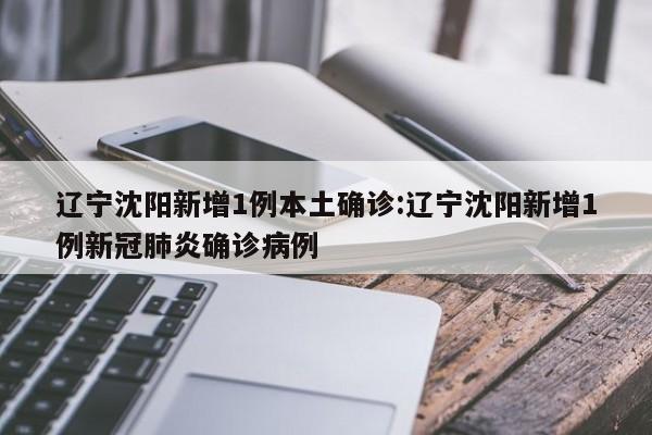 辽宁沈阳新增1例本土确诊:辽宁沈阳新增1例新冠肺炎确诊病例