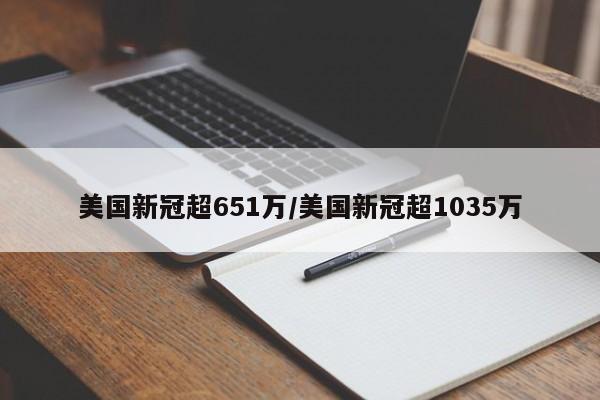 美国新冠超651万/美国新冠超1035万