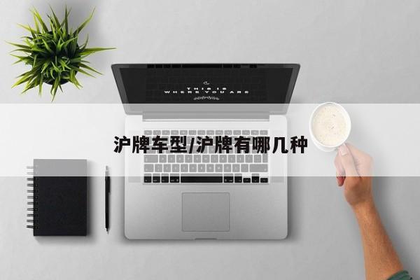 沪牌车型/沪牌有哪几种