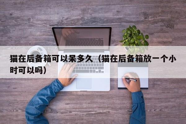 猫在后备箱可以呆多久(猫在后备箱放一个小时可以吗)
