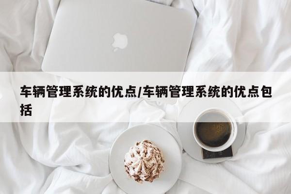 车辆管理系统的优点/车辆管理系统的优点包括