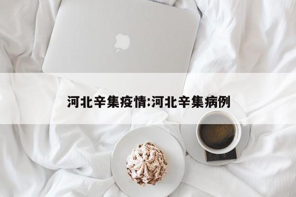 河北辛集疫情:河北辛集病例