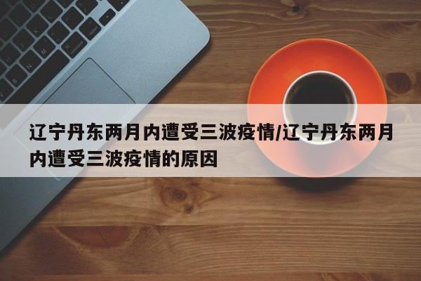 辽宁丹东两月内遭受三波疫情/辽宁丹东两月内遭受三波疫情的原因