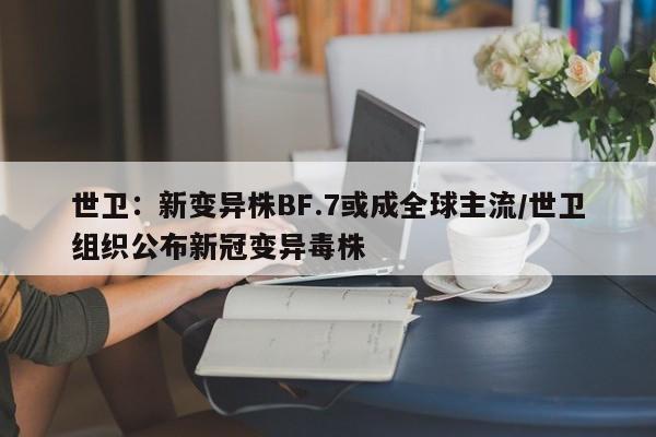 世卫:新变异株BF.7或成全球主流/世卫组织公布新冠变异毒株