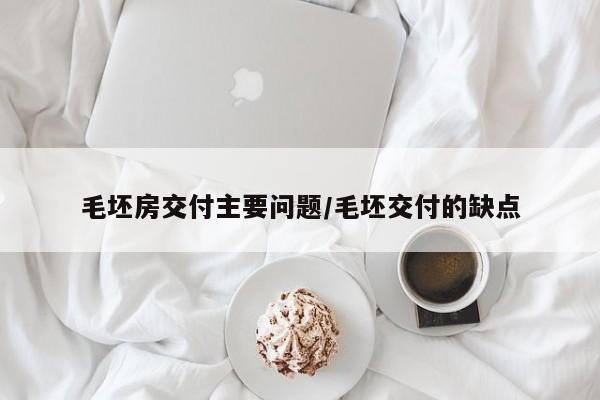 毛坯房交付主要问题/毛坯交付的缺点