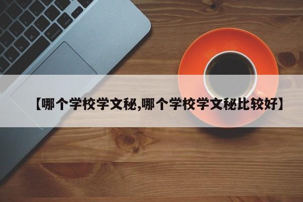 【哪个学校学文秘,哪个学校学文秘比较好】